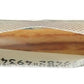 365 by Whole Foods Market, Pizza Crusts Rustic White 7 Inch Organic 2 Count, 3.5 Ounce