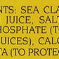 Seawatch Chopped Sea Clams Ready to Use 51oz.Can