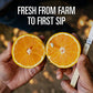 OG2 EFRSH GRN DVSN JC BL (1x6.00)