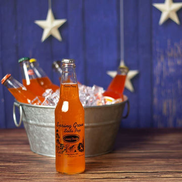 Ultimate Orange Soda Sampler - Mix Variety Case - Gourmet Sodas From All Around The Country - Choose Your Flavor - 12Oz (Orange