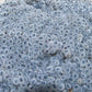 A - Z Direct 100G | Basil Seeds, Thai Holy Basil Seeds, Tukmaria, Sabja, Sweet Basil Seeds Hair Skin Ayurveda Faluda Falooda She