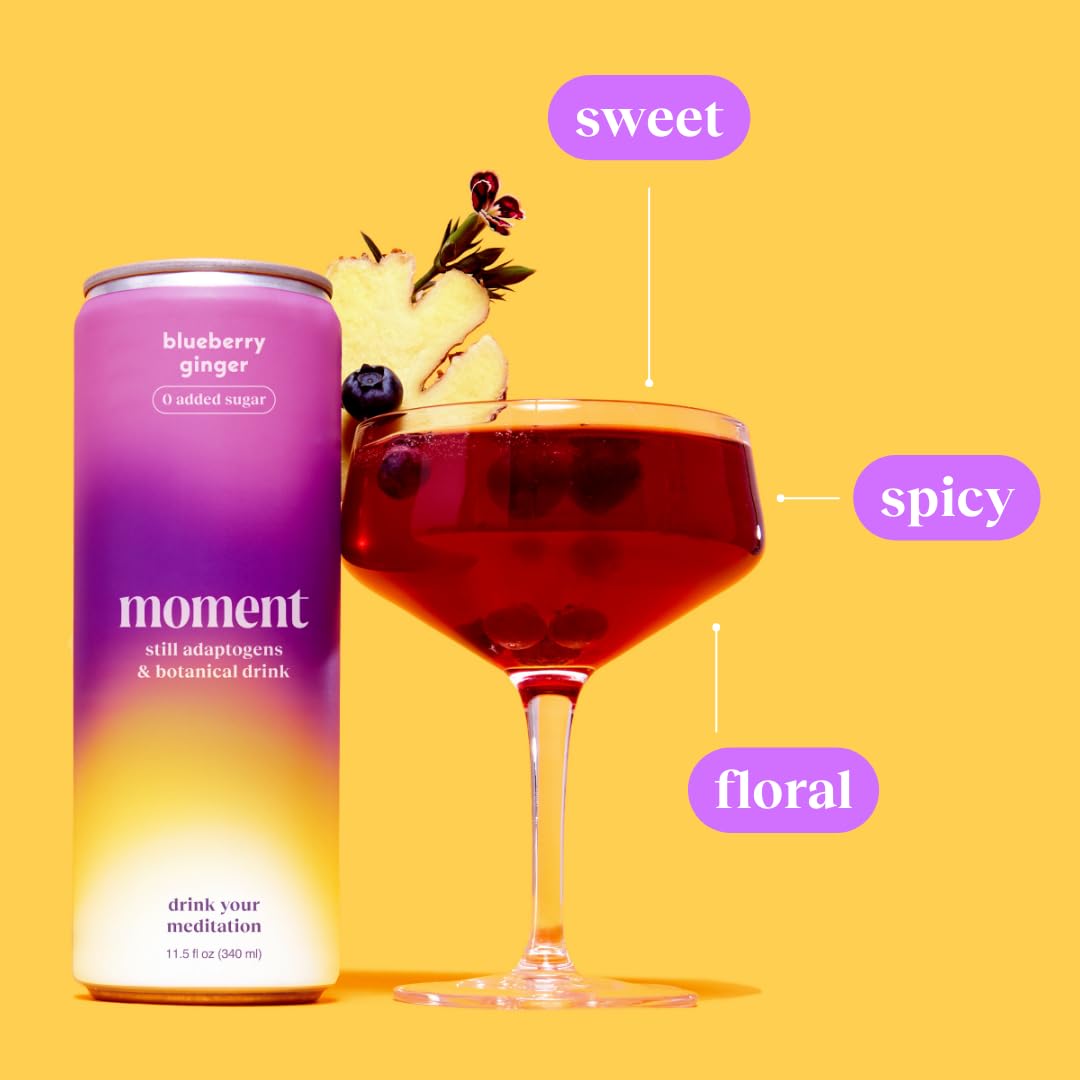 Drink Your Meditation Moment Adaptogen Drink - Blueberry Ginger, Non-Carbonated, 11.5 Fl Oz, 12-Pack, 0 Added Sugar, 0 Caffeine