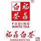 GreenHillTea Organic Silver Needle White Tea - Savoury Aroma - 8 OZ