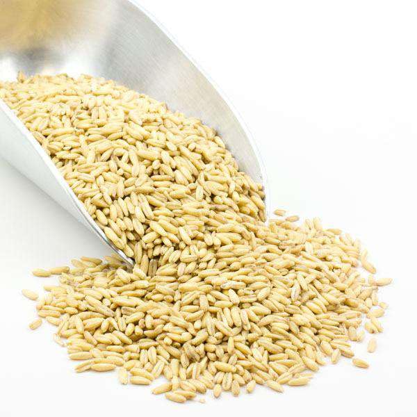 Grain Millers Organic Whole Oat Groats, Non-GMO, Whole Grain, Bulk, Delicious Cereal Grain, High in Dietary Fiber and Protein, 2