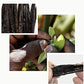 10 Madagascar Vanilla Beans-Whole Pods Grade A For Vanilla Extract And Homemade Baking 4''-6''(Pack Of 1)