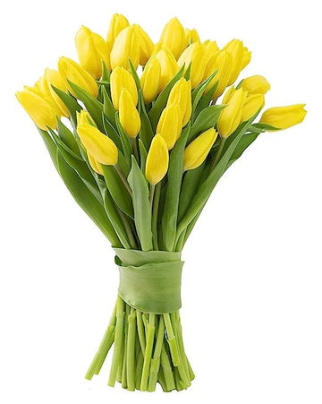 KaBloom Flowers - Mother's Day Collection - Bouquet of 20 Yellow Tulips Without Vase - Gift for Birthday, Sympathy, Anniversary,