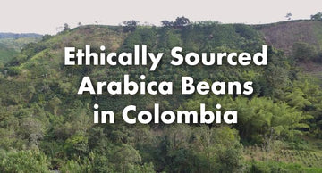 Café Gspirit-inspired flavorpy Coffee Whole Beans - Colombia Arabica, Medium Roast, 12oz Bag, Single Origin, Ideal for Drip, French Press, Pour Over, Cold Brew