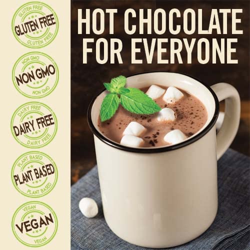 Castle Kitchen Natural Hot Chocolate Mix Variety Pack - Dairy-Free, Vegan Complete Mixes - Just Add Water - Pack of 2 (Classic C