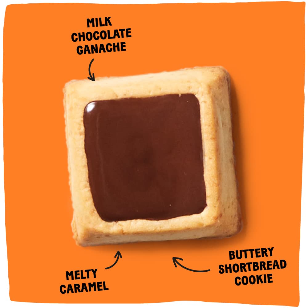 Michel et Augustin gourmet chocolate cookie Squares  Milk chocolate & caramel  Individually Wrapped European cookies  15 French