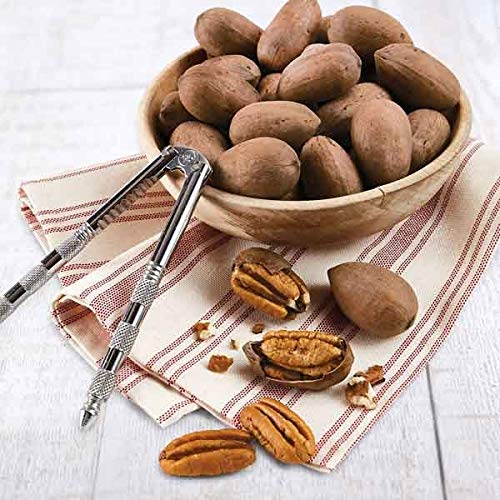 Anna and Sarah Premium Georgian Raw Fresh Pecans in Shell (9 Lbs in Box)
