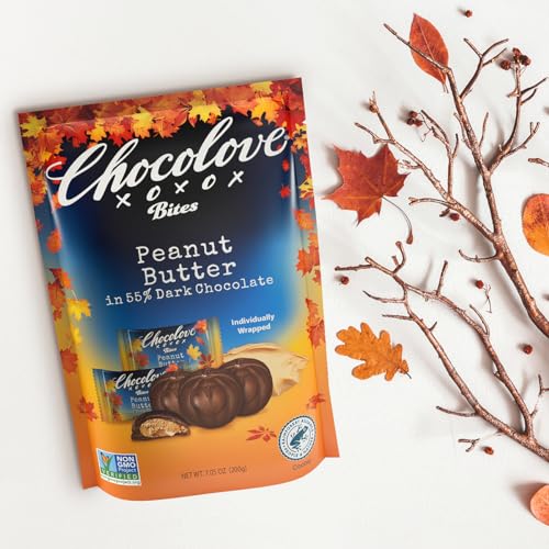 CHOCOLOVE Dark Chocolate Peanut Butter Bites  7.05 OZ