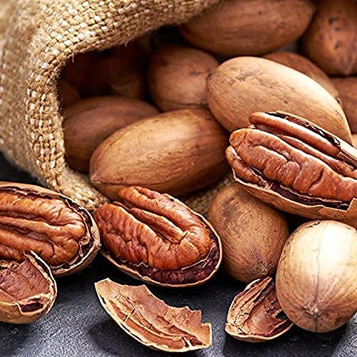 Presto Sales Llc Pecans, Flavorful In Shell, New Crop Unshelled Fresh, Easy To  , Healthy Snack, Dietetic, Vegan, And Calcium | Perfect For Vegans, Weight Control Diets | 10 Lbs. (160 Oz.)