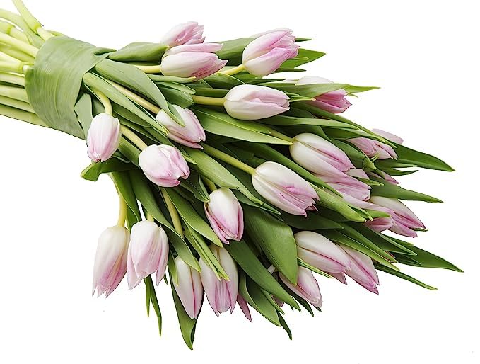Kabloom Flowers -Valentine'S Day Collection - 20 Pink Tulips Without Vase, Gift For Birthday, Sympathy, Anniversary, Get Well, T