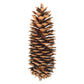 Vickerman 9.5-10 Sugar Pinecone 7/Pack. Includes Seven Sugar pinecones per Bunch. Natural Product.