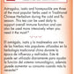 Bravo Tea Triple Immune Support Herbal Tea Caffeine Free, 20 Tea Bags