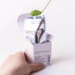 Ippodo Tea - Hatsu Matcha (40g) - For Lattes, Smoothies, Desserts and Usucha - Light & Astringent - Kyoto Since 1717