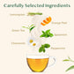 Vahdam, Chamomile Mint Citrus Green Tea Leaves (50+ Cups, 3.5 Oz) Essential Herbs | Green Tea Leaves, Chamomile, Peppermint, Spe