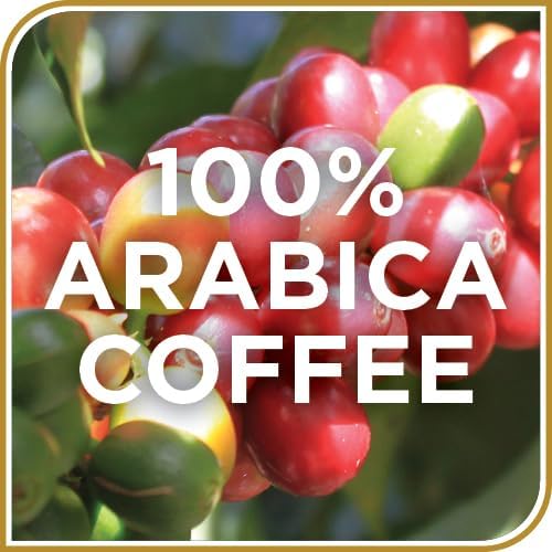 Don Franciscos Maple Pecan Flavored Coffee  100% Arabica  24 K-Cup Compatible Single-Serve Pods - 100% Arabica With Warmth of Maple and Toasted Pecans With Creamy Caramel Undertones