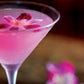 Sunne Tropical Orchid Loose Bloom DIY Lei, 50 Purple, Model ORC-LBS-PUR50, Food & Drink Decoration