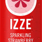 IZZE Sparkling Juice, 4 Flavor Dawn Variety Pack (Mango, Clementine, Strawberry, Pomegranate), 8.4 Fl Oz Can (Pack of 24)