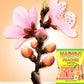 Haribo Gummi Candy, Peaches Gummy Candy, 5 Ounce Share Size Bags (Pack Of 12) Delicious Soft & Chewy Sweet Snacks, Fruity Peach Flavor