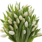 Kabloom Flowers -Valentine'S Day Collection - 30 White Tulips, Gift For Birthday, Sympathy, Anniversary, Get Well, Thank You, Va