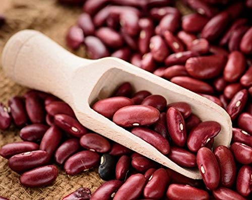 Food to Live Organic Dark Red Kidney Beans, Non-GMO, Vegan, 5 Pounds