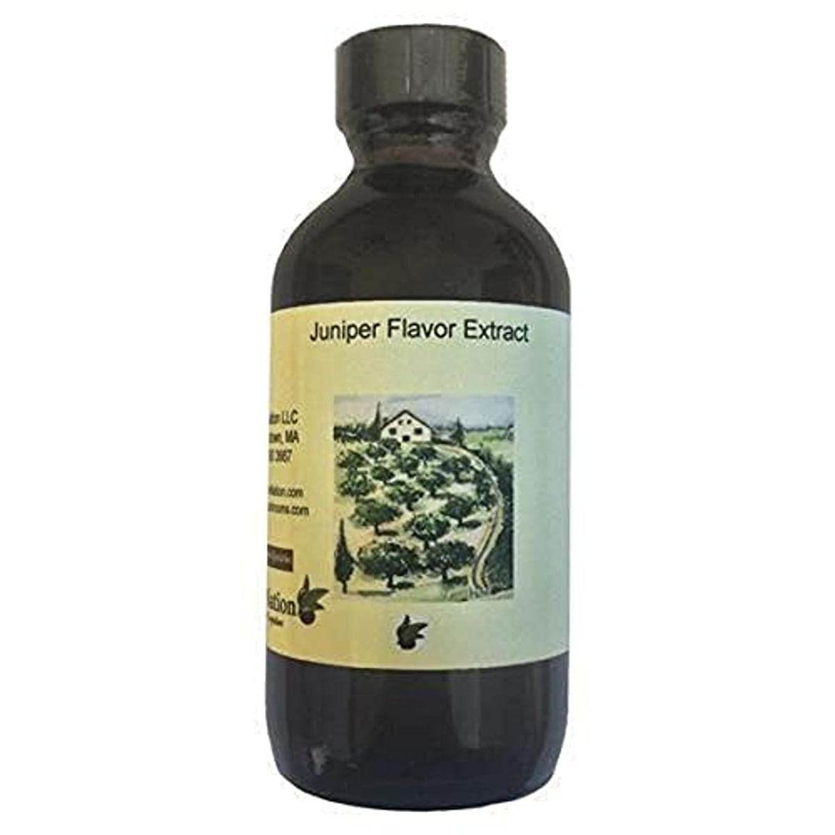 OliveNation Juniper Flavor Extract - Non-Alcoholic Classic Gin Flavoring, Non-GMO, Gluten Free, Vegan - 4 Fl Oz