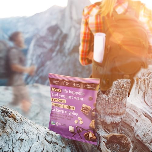 B'Cuz Granola Bites Variety Pack - Gluten Free, Healthy, Dairy Free, Vegan Snacks - 8 Count