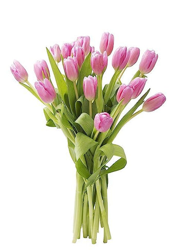 KaBloom Flowers - Mother's Day Collection - 10 Pink Tulips without vase, Gift for Birthday, Sympathy, Anniversary, Get Well, Tha