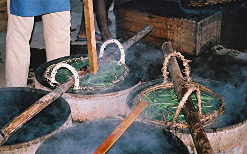 50 Tahitian Extract Grade B Natural Vanilla Beans 5~6 By Vanilla Products Usa