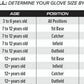 Rawlings | Select Pro Lite Youth Baseball Glove | Right Hand Throw | Aaron Judge | 12