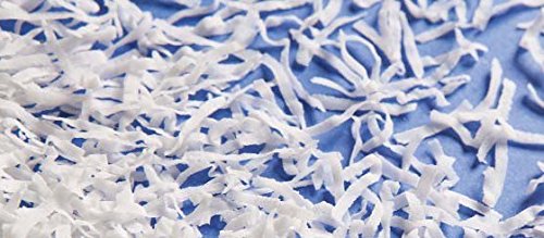 Coral Bay Snowflake, Sweetened Coconut, 10 Lb