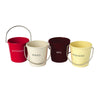 Eddingtons 83035 Ranch Ketchup Mayo BBQ and Mustard Condiment Buckets, Stainless Steel
