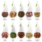 Tea Forte Herbal Tea Chest with Handcrafted Pyramid Infusers, 4.44 Ounce (Pack of 1)