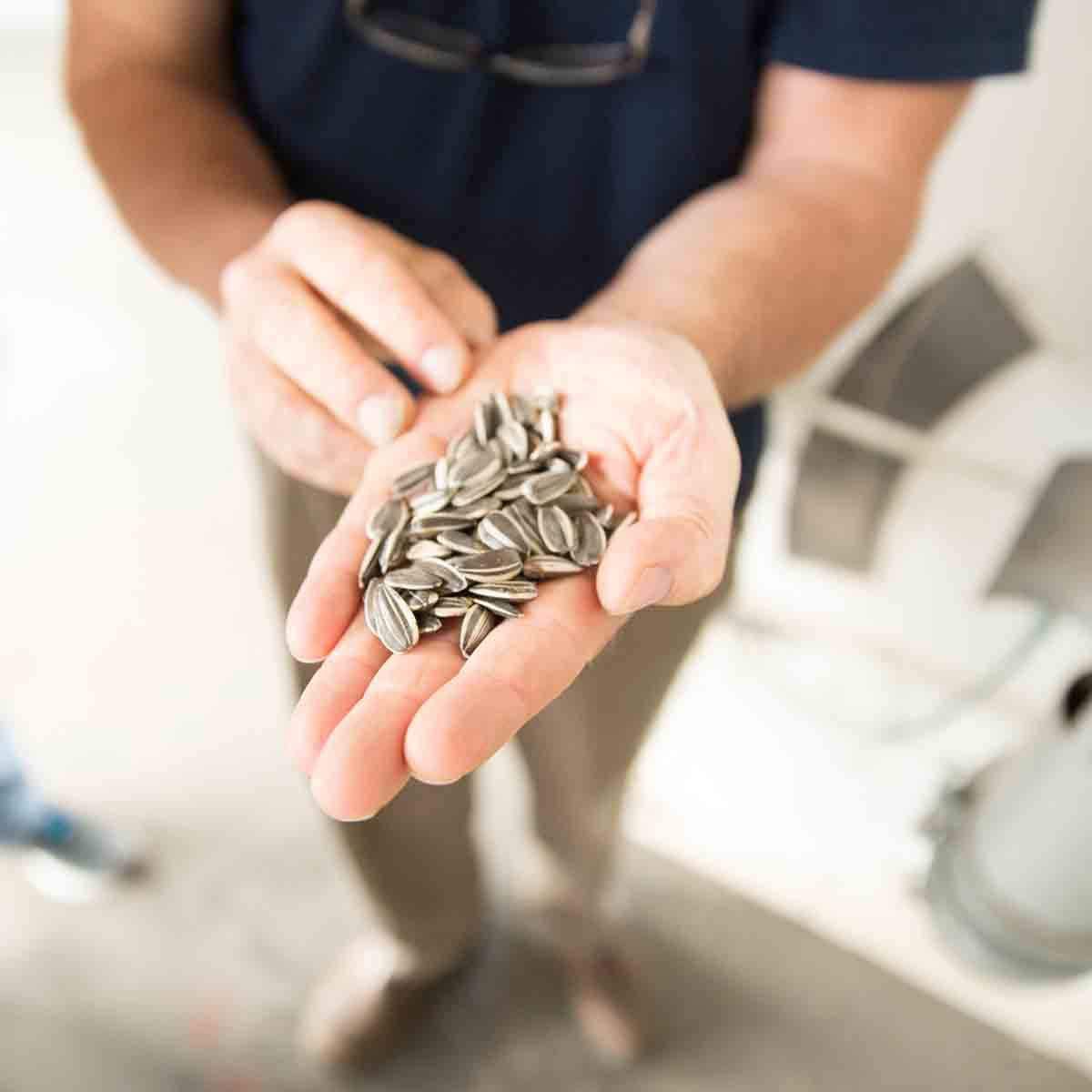 Spitz Pumpkin Seeds, Seasoned, 4 Oz Snack Bag