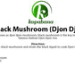 Kopabana Haitian Mushroom | Djon-Djon For Rice Cooking | 2Oz