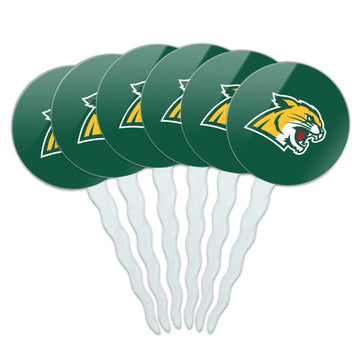 Northern Michigan Primary Logo Cupcake Picks Toppers Decoration Set of 6