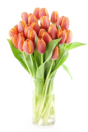 KaBloom Flowers -Valentine's Day Collection - 20 Orange Tulips with vase, Gift for Birthday, Sympathy, Anniversary, Get Well, Th
