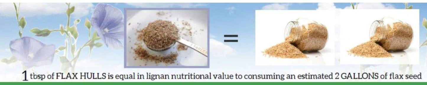 Rapha Global Flax Hull Lignans High Fiber Powder, Omega 3, 5.3 oz, Pack of 1