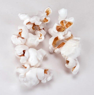 White Popcorn Butterfly Popcorn Kernels Hulless 50 lbs popcorn kernels unpopped by Princeton Popcorn Farm Grown Non-GMO Gluten F