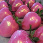 Cobakey Pink Edible Glitter Powder for Baking & Cake Decorating, 4g Food Grade Luster Dust