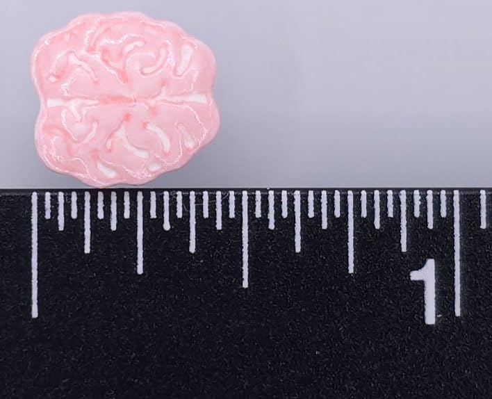 NCS Zombie Brains Edible Candy Cake Toppers, 8 ounces