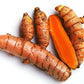 Fresh Wild Turmeric & Ginger Combo 1Lb Each By Nine Shani (5Lb)