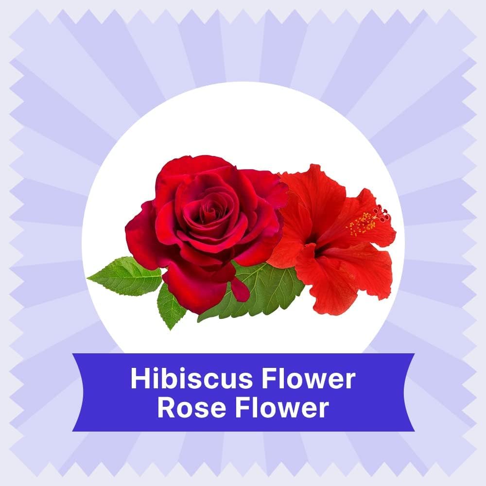 BLUE TEA Hibiscus Tea - Caffeine Free Herbal Tea - 18 Tea Bags - Vegan, Gluten Free, Non-GMO - Tin Packaging