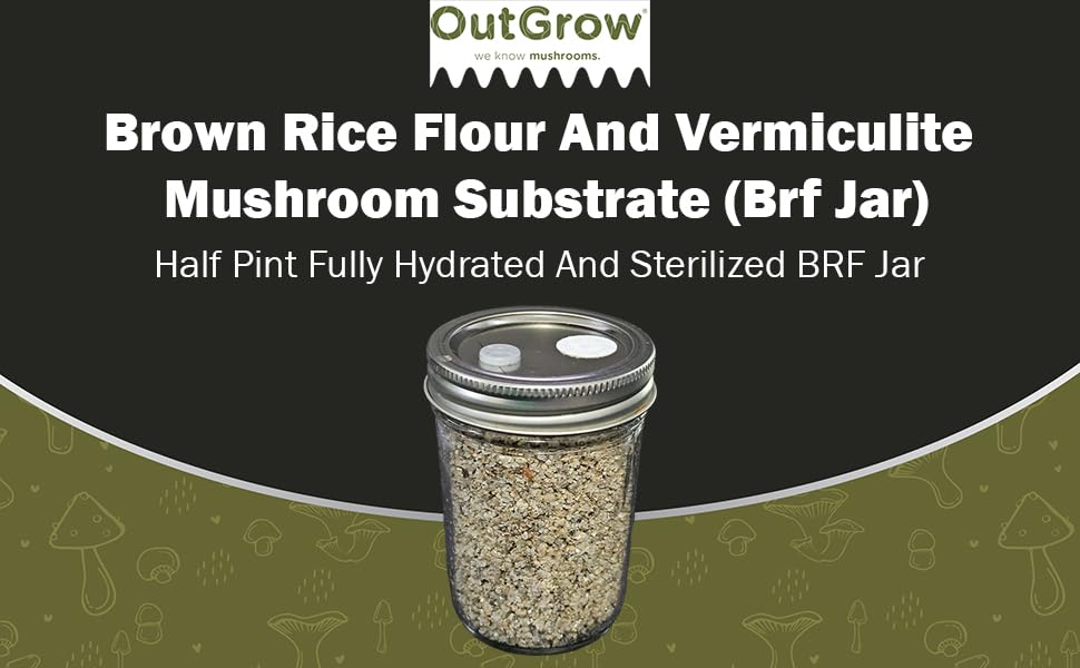 Brf Jars Brown Rice Flour Mushroom Substrate