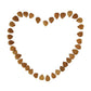 Natural Raw Bitter Apricot Kernels 16oz  Organic USDA Certified Bitter Apricot Seeds 1LB