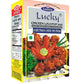 Lucky Chicken Lollypop Mix 60G. [Pack Of 2]