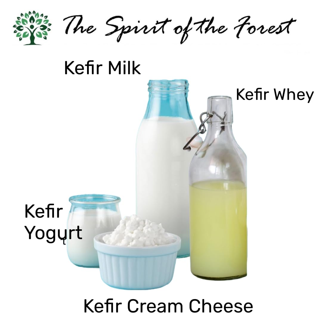 The Spirit Of The Forest Milk Kefir Grains Live Starter 0.16 Ounce Pack