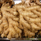Non Gmo Fresh Ginger From Peru (1)